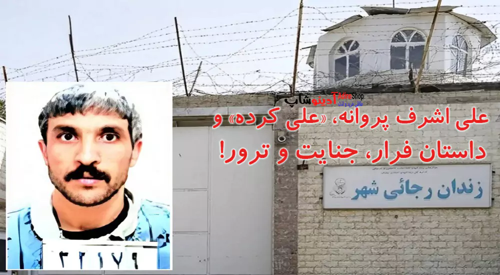 علی اشرف پروانه، «علی کرده» و داستان فرار، جنایت و ترور!