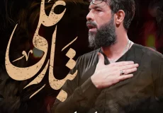 دانلود نوحه تبار علی از حسین ستوده | هرچی سریال بسازن براش