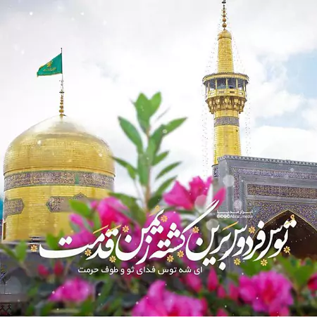 استوری تبریک ولادت امام رضا 1404 (عکس تبریک ولادت امام رضا (علیه‌السلام))