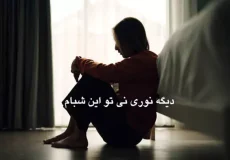 دانلود آهنگ دیگه نوری نیست تو این شبام (ریمیکس) از فرهاد زیاک