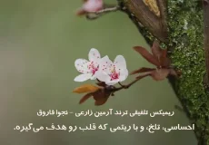ریمیکس تلفیقی ترند آرمین زارعی - نجوا فاروق (من بی‌تو داغونم / آرزومه فراموشت کنم)