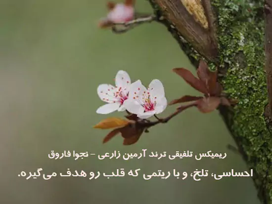 ریمیکس تلفیقی ترند آرمین زارعی - نجوا فاروق (من بی‌تو داغونم / آرزومه فراموشت کنم)
