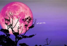 ماه صورتی خرداد را از دست ندهید! + زمان این پدیده