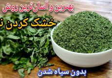 راز خشک‌ کردن نعناع تازه بدون زرد شدن برگ‌ ها / مثل عطاری‌ها