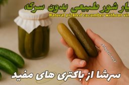 آموزش تهیه خیار شور تخمیری: راهنمای کامل ساخت خیارشور خانگی