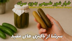 آموزش تهیه خیار شور تخمیری: راهنمای کامل ساخت خیارشور خانگی