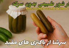روش تهیه خیارشور | خیار شور تخمیری | آموزش تهیه خیار شور