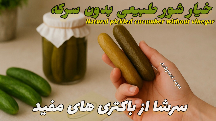روش تهیه خیارشور | خیار شور تخمیری | آموزش تهیه خیار شور