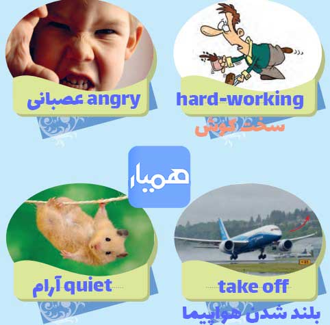 جواب صفحه 44 زبان نهم