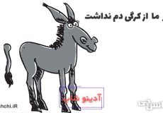 معنی خر ما از کرگی دم نداشت