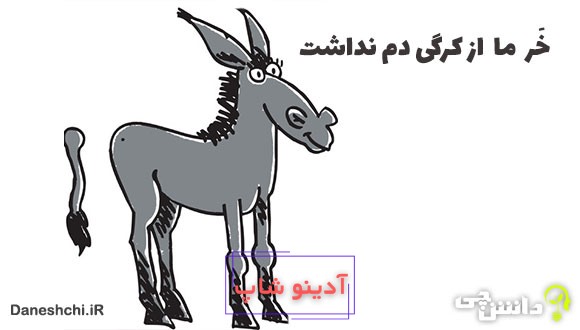 معنی خر ما از کرگی دم نداشت