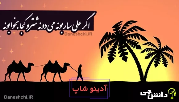 اگر علی ساربونه می دونه شترو کجا بخوابونه