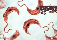 تحقیق در مورد بیماری خواب آفریقایی