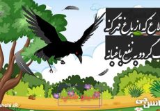 کلاغ که از باغ قهر کنه یک گردو به نفع باغبانه