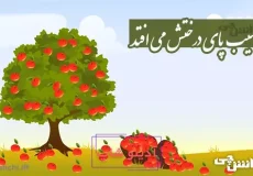 ضرب المثل سیب پای درختش می افتد