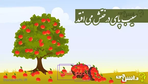 ضرب المثل سیب پای درختش می افتد
