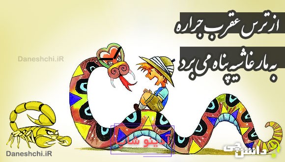 از ترس عقرب جراره به مار غاشیه پناه می برد 