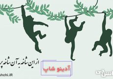 معنی از این شاخه به آن شاخه پریدن