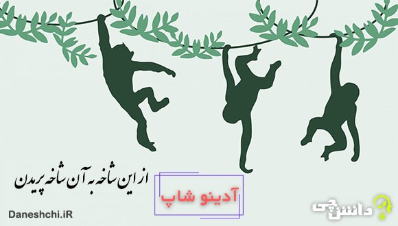معنی از این شاخه به آن شاخه پریدن