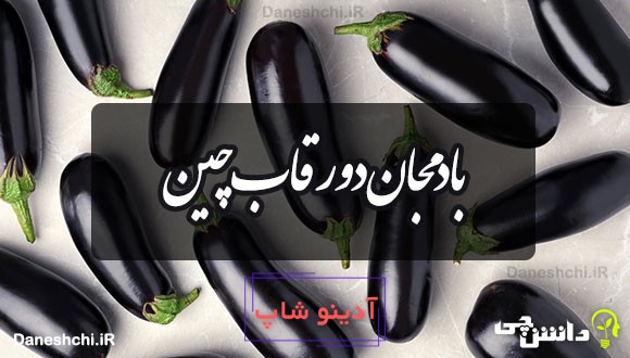 بادمجان دور قاب چین