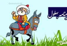 تحقیق در مورد زندگی بهلول