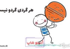 معنی هر گردی گردو نیست