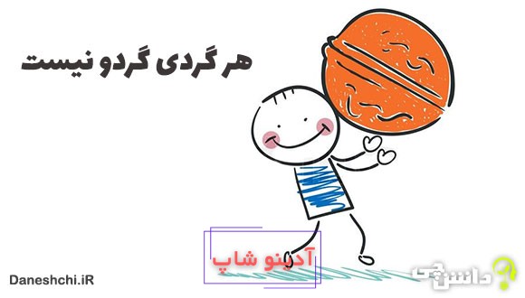 معنی هر گردی گردو نیست