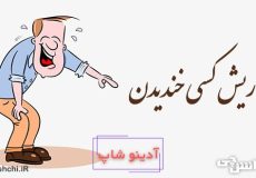 به ریش کسی خندیدن
