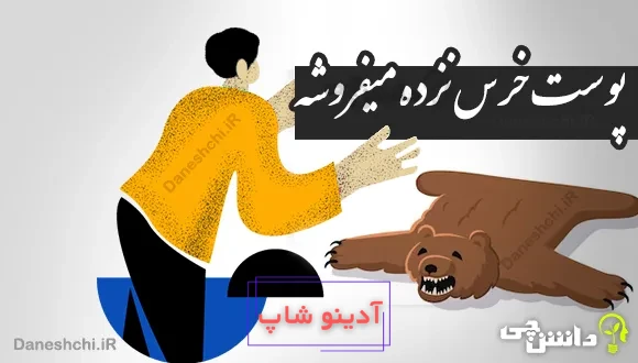 پوست خرس نزده میفروشه 