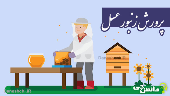 تحقیق درباره پرورش زنبور عسل