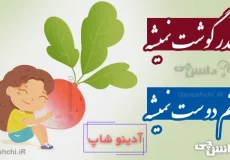 چغندر گوشت نمیشه، دشمنم دوست نمیشه