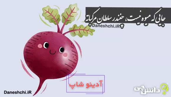 ضرب المثل جایی که میوه نیست، چغندر سلطان مرکباته