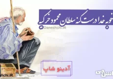 کار خوبه خدا درست کنه سلطان محمود خر کیه