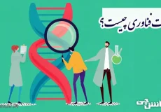 تحقیق در مورد زیست فناوری و کاربردش
