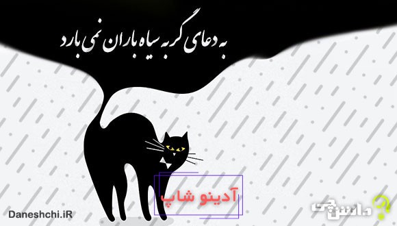 معنی ضرب المثل ” به دعای گربه سیاه باران نمی‌آید “