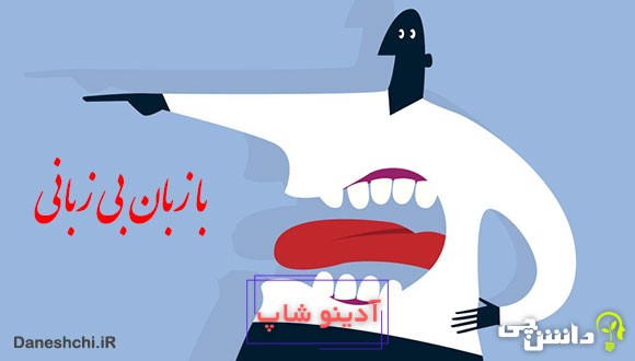 معنی با زبان بی‌زبانی