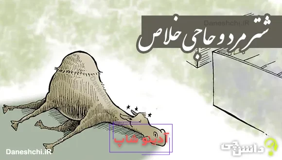 شتر مرد و حاجی خلاص