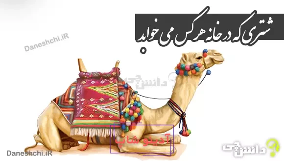 شتری که در خانه هرکس می خوابد