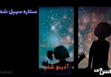 ضرب المثل ستاره ی سهیل شدن