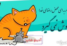 هیچ گربه ای محض رضای خدا موش نمی‌ گیرد