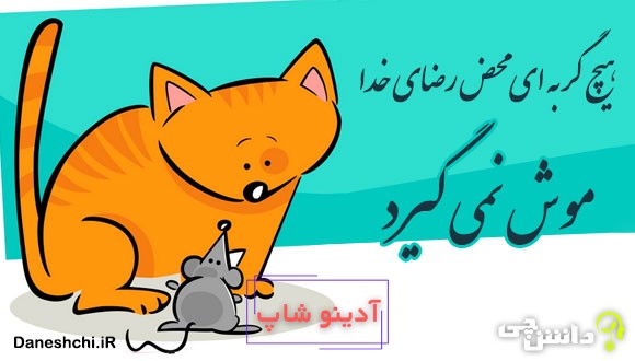 هیچ گربه ای محض رضای خدا موش نمی‌ گیرد