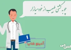 چو به گشتی طبیب از خود میازار