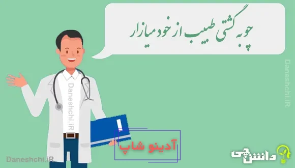 چو به گشتی طبیب از خود میازار