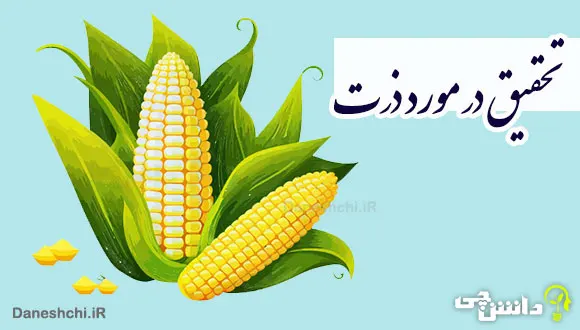 تحقیق در مورد ذرت و انواع آن