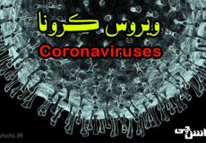 تحقیق در مورد بیماری کرونا و علائم، پیشگیری و درمان آن