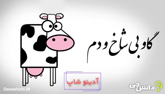 گاو بی شاخ و دم