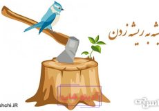 معنی تیشه به ریشه زدن