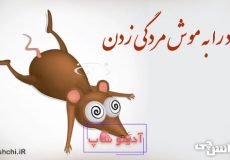 خود را به موش مردگی زدن