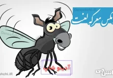 بر خرمگس معرکه لعنت