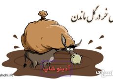 مثل خر در گل ماندن